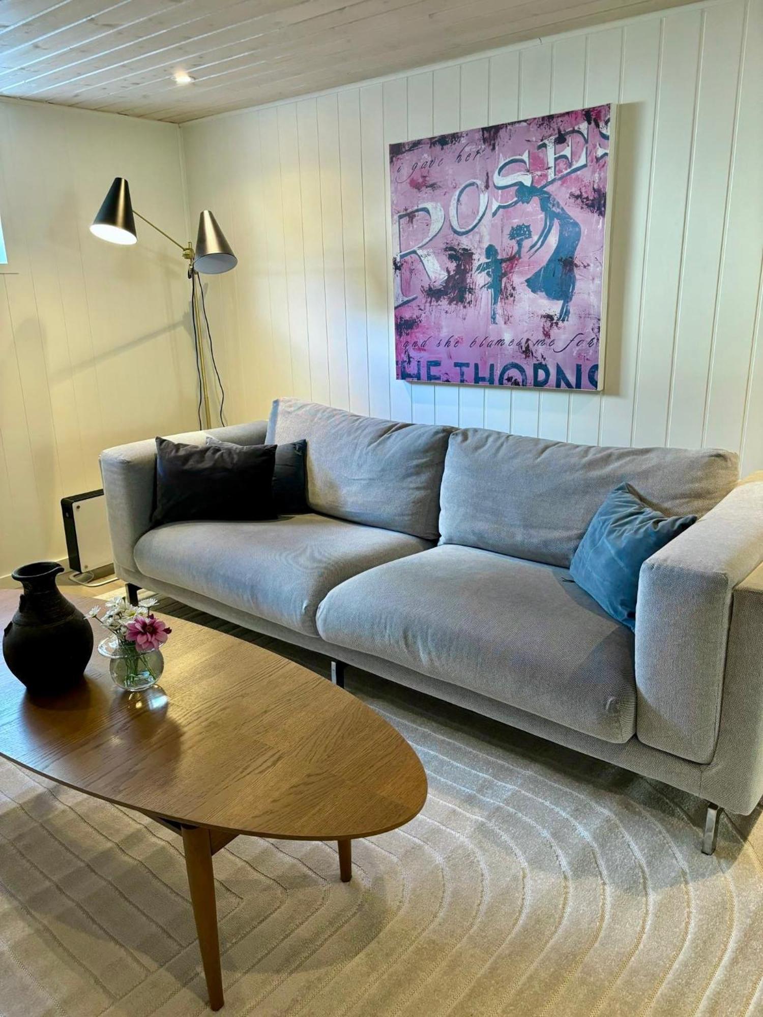 Down Town Apartment With Outside Area In Villa 克里斯蒂安桑 外观 照片